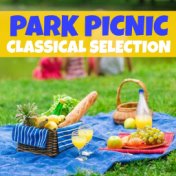 Park Picnic Classical Selection