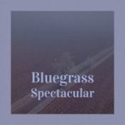 Bluegrass Spectacular