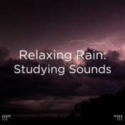 !!!" Relaxing Rain: Studying Sounds "!!!