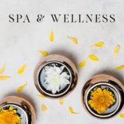 Spa & Wellness - Center of Healing Music, Majestic Spa, Wellness Package