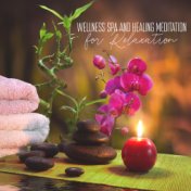Wellness Spa and Healing Meditation for Relaxation (Sounds of Nature, Relax Your Spirit & Feel Free)