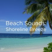 !!!" Beach Sounds: Shoreline Breeze "!!!