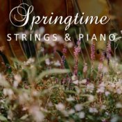 Springtime Strings & Piano
