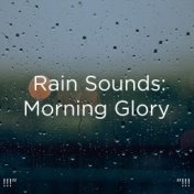 !!!" Rain Sounds: Morning Glory  "!!!
