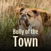 Bully of the Town