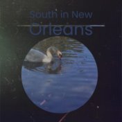 South in New Orleans