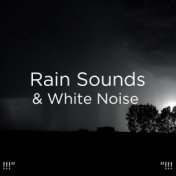 !!!" Rain Sounds & White Noise "!!!