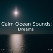 !!!" Calm Ocean Sounds: Dreams  "!!!