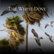 The White Dove