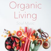 Organic Living Soul Music
