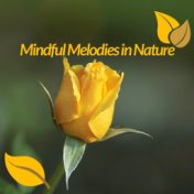 Mindful Melodies In Nature