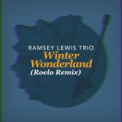 Winter Wonderland (Roelo Remix)