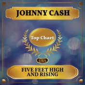 Five Feet High and Rising (Billboard Hot 100 - No 76)