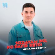 Sizdayam Pul Ko'payib Ketdi