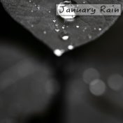 January Rain