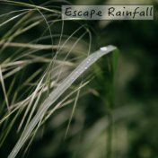 Escape Rainfall