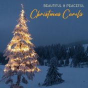 Beautiful & Peaceful Christmas Carols - Christmas Tree, Snow Winter, Happy Holidays, Christmas Night, Family Time