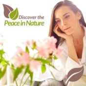 Discover The Peace In Nature