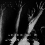 A Fleur de Peau - III - A Fire that doesn't Burn