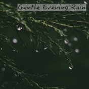Gentle Evening Rain