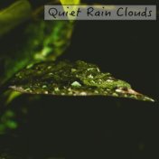 Quiet Rain Clouds