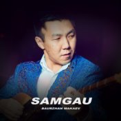 Samgau