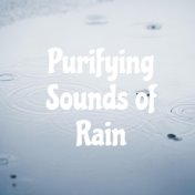 Purifying Sounds of Rain - Collection of Nature Sounds That Works Great as a Background for Deep Meditation, Yoga Training or Re...
