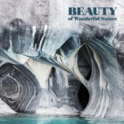 Beauty of Wonderful Nature - Beauty Spa Treatments Music Collection 2020