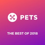 Pets Recordings Best of 2018