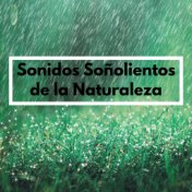 Sonidos Soñolientos de la Naturaleza - Sonidos Relajantes para un Sueño Profundo, Pura Relajación, Agua y Lluvia, Libre de Estré...