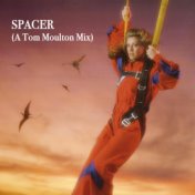 Spacer (A Tom Moulton Mix)
