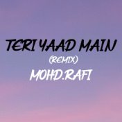 Teri Yaad Main (Remix)