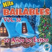 Hits Bailables 20 años de Éxitos (Vol 20)