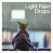 Light Rain Drops