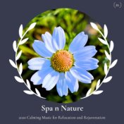 Spa N Nature - 2020 Calming Music For Relaxation And Rejuvenation