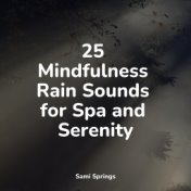 25 Mindfulness Rain Sounds for Spa and Serenity