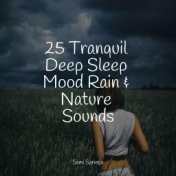 25 Tranquil Deep Sleep Mood Rain & Nature Sounds