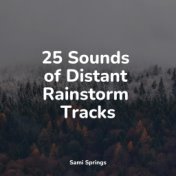 25 Sounds of Distant Rainstorm Tracks