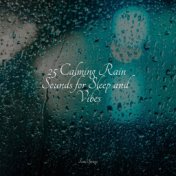 25 Calming Rain Sounds for Sleep and Vibes