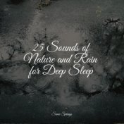 25 Sounds of Nature and Rain for Deep Sleep