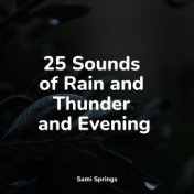 25 Sounds of Rain and Thunder and Evening