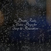 25 Dream Rain Music Pieces for Sleep & Relaxation