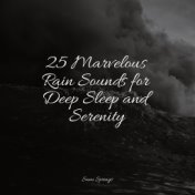 25 Marvelous Rain Sounds for Deep Sleep and Serenity