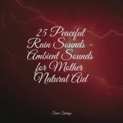 25 Peaceful Rain Sounds - Ambient Sounds for Mother Natural Aid
