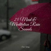 25 Mind & Meditation Rain Sounds