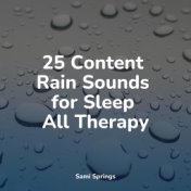 25 Content Rain Sounds for Sleep All Therapy
