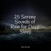 25 Serene Sounds of Rain for Deep Sleep