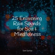25 Enlivening Rain Sounds for Spa & Mindfulness