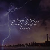 25 Sounds of Rain: Sounds for Delightful Serenity