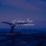 25 Calming Rain Droplet Compilation